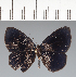  ( - CFC22553)  @11 [ ] copyright (2022) Center For Collection-Based Research Center For Collection-Based Research