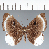  ( - CFC22578)  @11 [ ] copyright (2022) Center For Collection-Based Research Center For Collection-Based Research