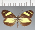  ( - CFC22923)  @11 [ ] copyright (2023) Center For Collection-Based Research Center For Collection-Based Research