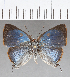  ( - CFC23020)  @11 [ ] Copyright (2019) Christer Fahraeus Center For Collection-Based Research