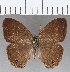  ( - CFC23250)  @11 [ ] copyright (2020) Christer Fahraeus Center For Collection-Based Research