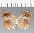  ( - CFC23404)  @11 [ ] copyright (2023) Center For Collection-Based Research Center For Collection-Based Research