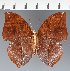  ( - CFC23467)  @11 [ ] copyright (2023) Center For Collection-Based Research Center For Collection-Based Research