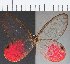  ( - CFC23556)  @11 [ ] Copyright (2019) Christer Fahraeus Center For Collection-Based Research