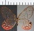  ( - CFC23558)  @11 [ ] Copyright (2019) Christer Fahraeus Center For Collection-Based Research