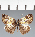  ( - CFC23588)  @11 [ ] copyright (2023) Center For Collection-Based Research Center For Collection-Based Research