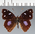  ( - CFC23644)  @11 [ ] copyright (2023) Center For Collection-Based Research Center For Collection-Based Research