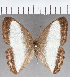  ( - CFC23684)  @11 [ ] copyright (2021) Center For Collection-Based Research Center For Collection-Based Research