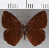  ( - CFC23693)  @11 [ ] copyright (2020) Christer Fahraeus Center For Collection-Based Research