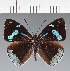  ( - CFC23710)  @11 [ ] copyright (2023) Center For Collection-Based Research Center For Collection-Based Research