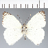  ( - CFC23719)  @11 [ ] copyright (2023) Center For Collection-Based Research Center For Collection-Based Research