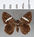  ( - CFC02374)  @13 [ ] Copyright (2018) Christer Fahraeus Center For Collection-Based Research