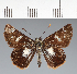  ( - CFC23889)  @11 [ ] copyright (2023) Center For Collection-Based Research Center For Collection-Based Research