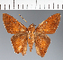  ( - CFC24042)  @11 [ ] copyright (2023) Center For Collection-Based Research Center For Collection-Based Research