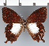  ( - CFC24072)  @11 [ ] copyright (2022) Center For Collection-Based Research Center For Collection-Based Research