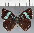  ( - CFC24227)  @11 [ ] copyright (2023) Center For Collection-Based Research Center For Collection-Based Research
