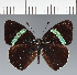  ( - CFC24235)  @11 [ ] copyright (2023) Center For Collection-Based Research Center For Collection-Based Research