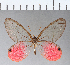  ( - CFC02425)  @11 [ ] Copyright (2018) Christer Fahraeus Center For Collection-Based Research