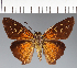  ( - CFC24350)  @11 [ ] copyright (2023) Center For Collection-Based Research Center For Collection-Based Research