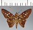  ( - CFC24393)  @11 [ ] copyright (2023) Center For Collection-Based Research Center For Collection-Based Research