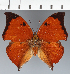  ( - CFC24788)  @11 [ ] copyright (2023) Center For Collection-Based Research Center For Collection-Based Research