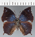  ( - CFC24791)  @11 [ ] copyright (2023) Center For Collection-Based Research Center For Collection-Based Research