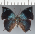  ( - CFC24798)  @11 [ ] copyright (2023) Center For Collection-Based Research Center For Collection-Based Research