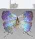  ( - CFC24845)  @11 [ ] copyright (2020) Christer Fahraeus Center For Collection-Based Research
