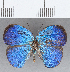  ( - CFC24941)  @11 [ ] Copyright (2020) Christer Fahraeus Center For Collection-Based Research