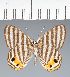  ( - CFC24951)  @11 [ ] copyright (2022) Center For Collection-Based Research Center For Collection-Based Research