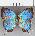  ( - CFC24988)  @11 [ ] copyright (2020) Christer Fahraeus Center For Collection-Based Research
