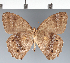  ( - CFC24993)  @11 [ ] copyright (2022) Center For Collection-Based Research Center For Collection-Based Research