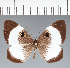  ( - CFC25227)  @11 [ ] copyright (2022) Center For Collection-Based Research Center For Collection-Based Research