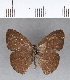  ( - CFC02524)  @12 [ ] Copyright (2018) Christer Fahraeus Center For Collection-Based Research