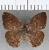  ( - CFC25257)  @11 [ ] copyright (2020) Christer Fahraeus Center For Collection-Based Research