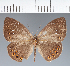  ( - CFC25277)  @11 [ ] copyright (2022) Center For Collection-Based Research Center For Collection-Based Research