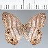  ( - CFC25361)  @11 [ ] copyright (2022) Center For Collection-Based Research Center For Collection-Based Research