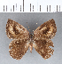  ( - CFC02539)  @11 [ ] Copyright (2018) Christer Fahraeus Center For Collection-Based Research