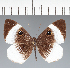  ( - CFC25429)  @11 [ ] copyright (2022) Center For Collection-Based Research Center For Collection-Based Research