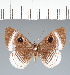 ( - CFC25437)  @11 [ ] copyright (2022) Center For Collection-Based Research Center For Collection-Based Research