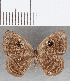  ( - CFC25503)  @11 [ ] Copyright (2019) Christer Fahraeus Center For Collection-Based Research