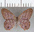  ( - CFC25560)  @11 [ ] Copyright (2019) Christer Fahraeus Center For Collection-Based Research