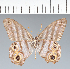  ( - CFC02557)  @11 [ ] copyright (2022) Center For Collection-Based Research Center For Collection-Based Research