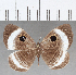  ( - CFC25623)  @11 [ ] Copyright (2019) Christer Fahraeus Center For Collection-Based Research