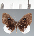  ( - CFC25626)  @11 [ ] copyright (2022) Center For Collection-Based Research Center For Collection-Based Research
