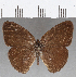  ( - CFC25718)  @11 [ ] Copyright (2019) Christer Fahraeus Center For Collection-Based Research