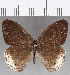  ( - CFC25719)  @11 [ ] Copyright (2019) Christer Fahraeus Center For Collection-Based Research
