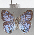  ( - CFC25843)  @11 [ ] Copyright (2019) Christer Fahraeus Center For Collection-Based Research