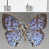  ( - CFC25850)  @11 [ ] Copyright (2019) Christer Fahraeus Center For Collection-Based Research