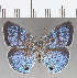  ( - CFC25852)  @11 [ ] Copyright (2019) Christer Fahraeus Center For Collection-Based Research